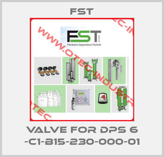 valve for DPS 6 -C1-B15-230-000-01-big