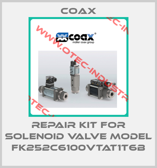 Repair kit for solenoid valve model FK252C6100VTAT1T6B-big