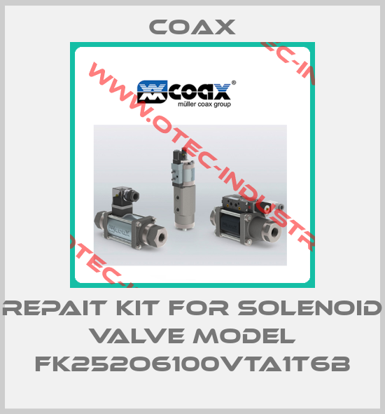 Repait kit for solenoid valve model FK252O6100VTA1T6B-big