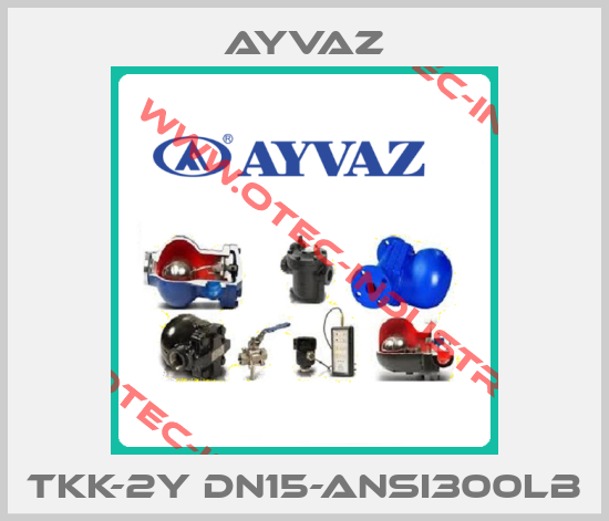 TKK-2Y DN15-ANSI300lb-big