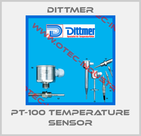 PT-100 temperature sensor-big