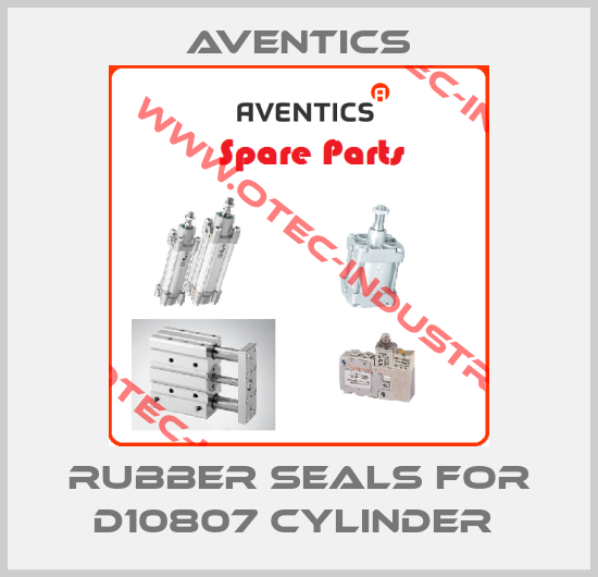RUBBER SEALS FOR D10807 CYLINDER -big