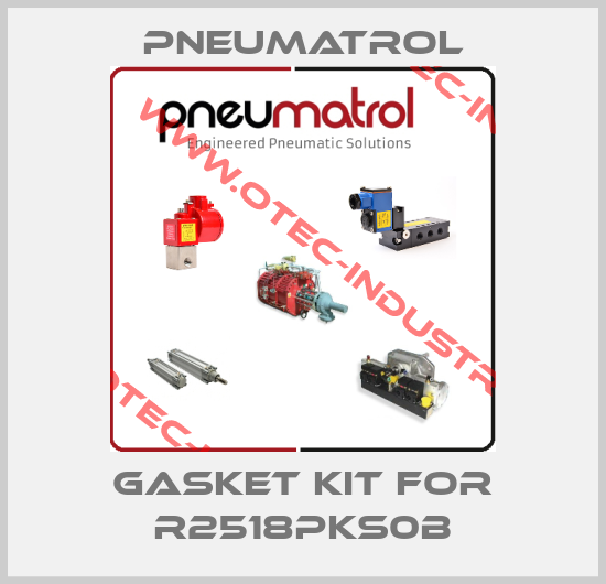 gasket kit for R2518PKS0B-big