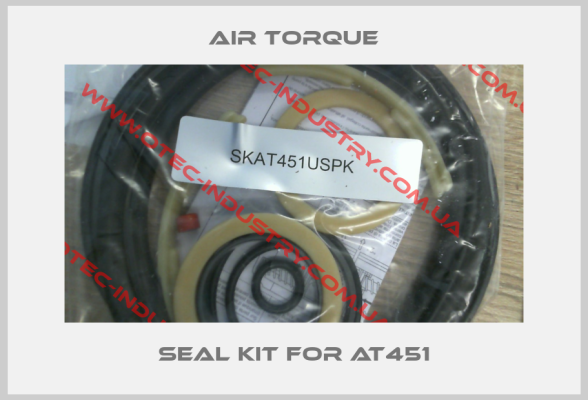 seal kit for AT451-big