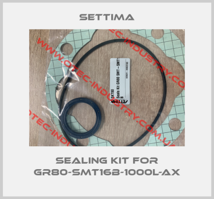 Sealing kit for GR80-SMT16B-1000L-AX-big
