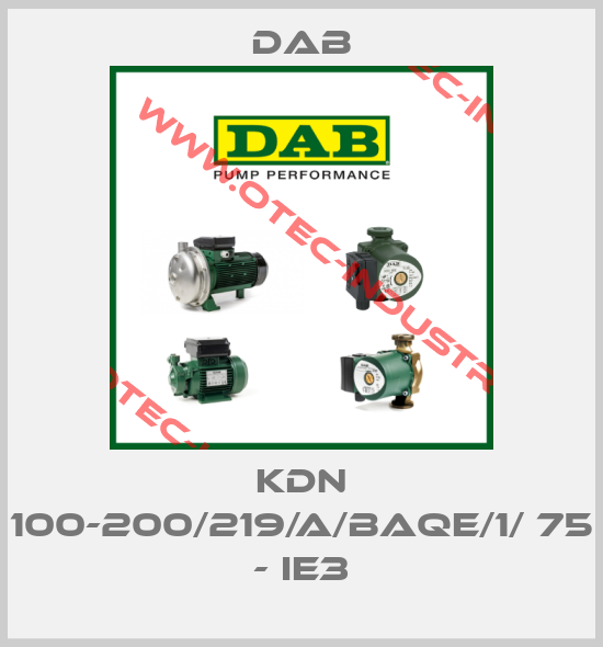 KDN 100-200/219/A/BAQE/1/ 75 - IE3-big