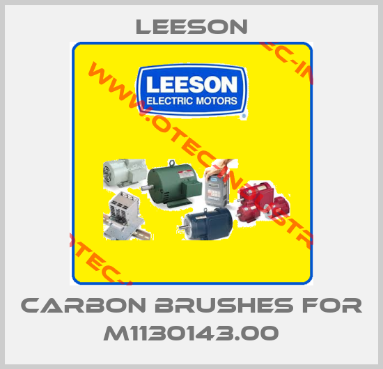 Carbon brushes for M1130143.00-big