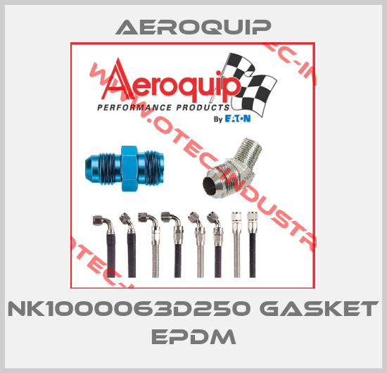 NK1000063D250 gasket EPDM-big