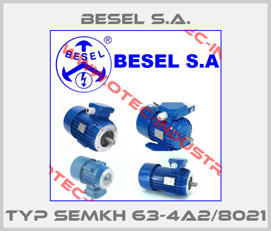 Typ SEMKh 63-4A2/8021-big