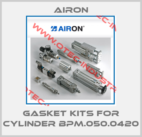 Gasket kits for cylinder BPM.050.0420-big