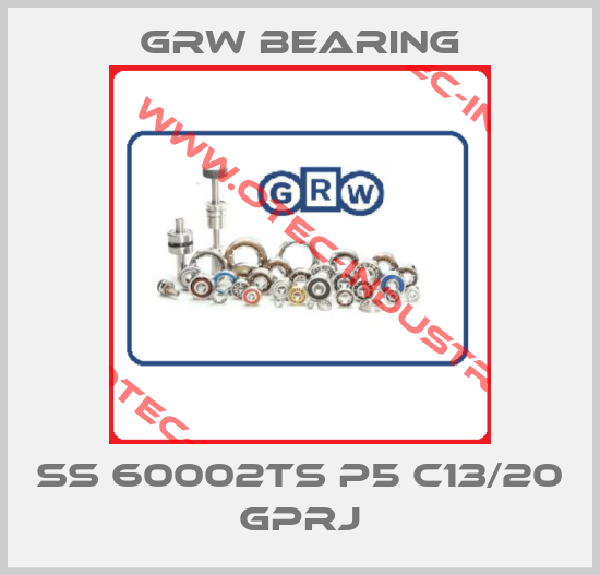 SS 60002TS P5 C13/20 GPRJ-big