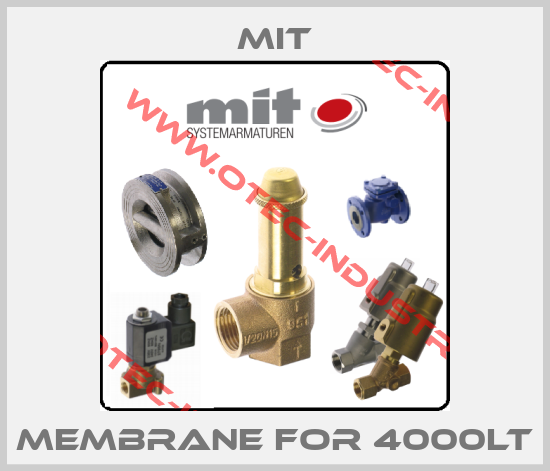 membrane for 4000LT-big