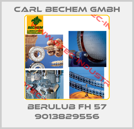 Berulub FH 57 9013829556-big