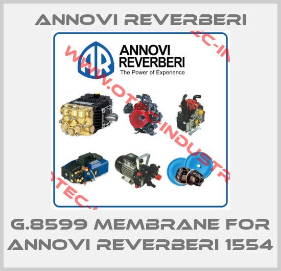 G.8599 membrane for Annovi Reverberi 1554-big