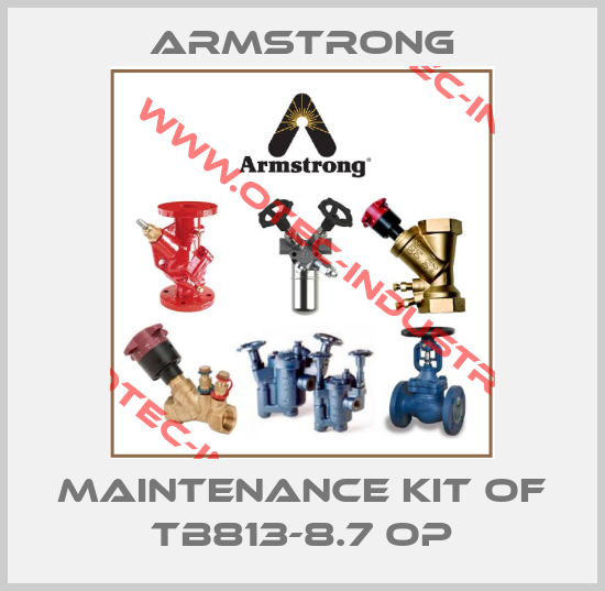 Maintenance kit of TB813-8.7 OP-big