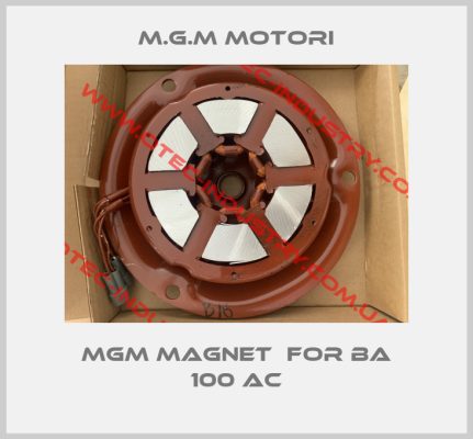 MGM Magnet  for BA 100 AC-big