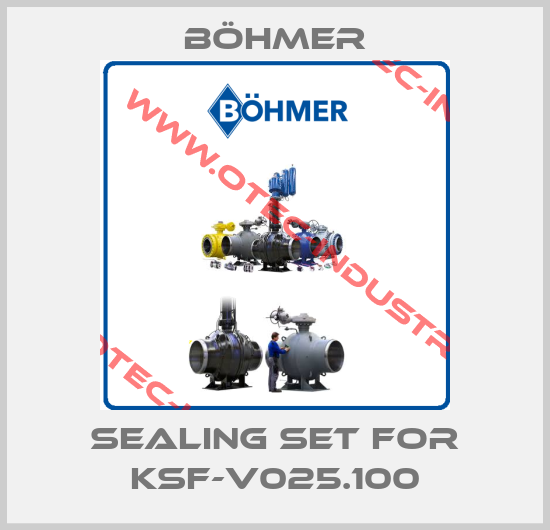 Sealing set for KSF-V025.100-big