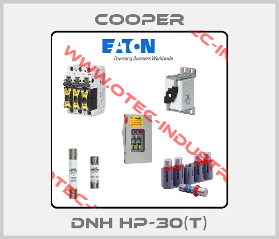 DNH HP-30(T)-big