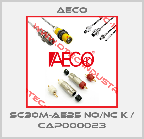 SC30M-AE25 NO/NC K / CAP000023-big
