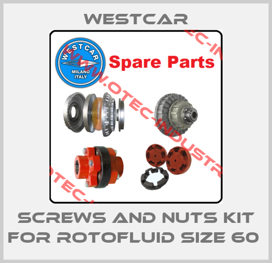 SCREWS AND NUTS KIT FOR ROTOFLUID SIZE 60 -big