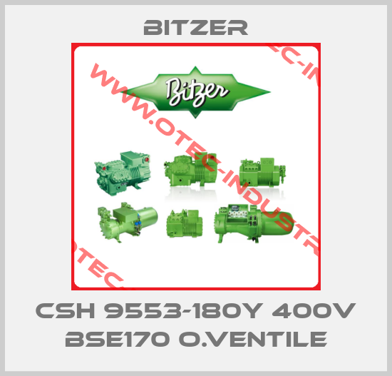 CSH 9553-180Y 400V BSE170 o.Ventile-big