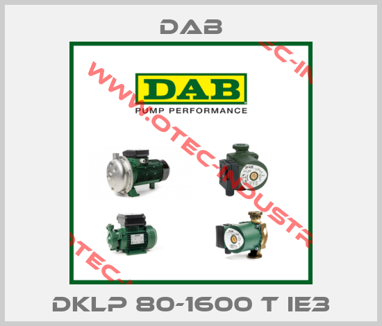 DKLP 80-1600 T IE3-big
