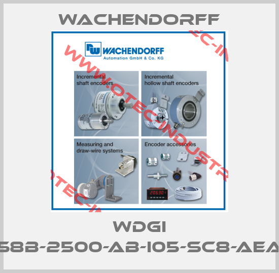 WDGI 58B-2500-AB-I05-SC8-AEA-big
