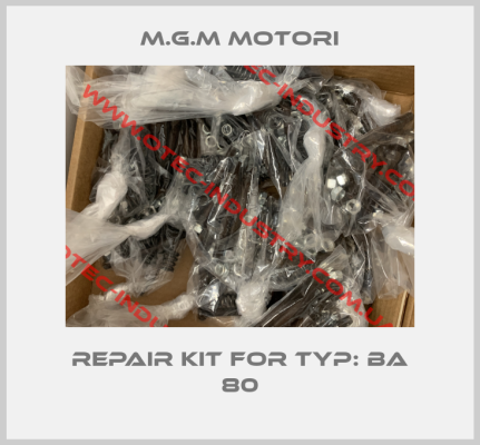 repair kit for Typ: BA 80-big