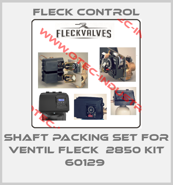 SHAFT PACKING SET FOR VENTIL FLECK  2850 KIT 60129 -big