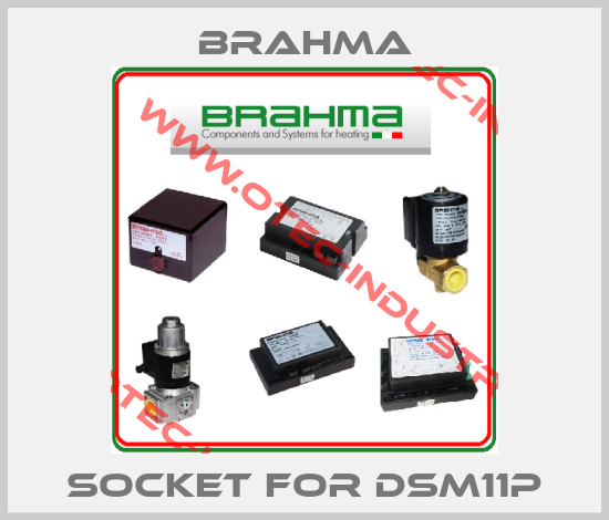 Socket for DSM11P-big