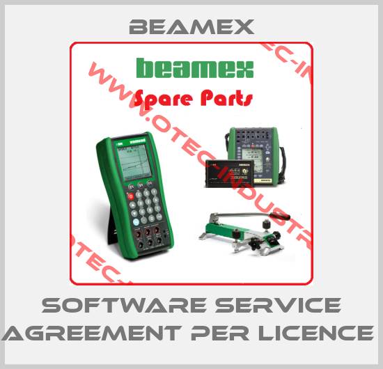 SOFTWARE SERVICE AGREEMENT PER LICENCE -big