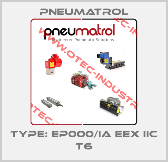 TYPE: EP000/IA EEX IIC T6-big