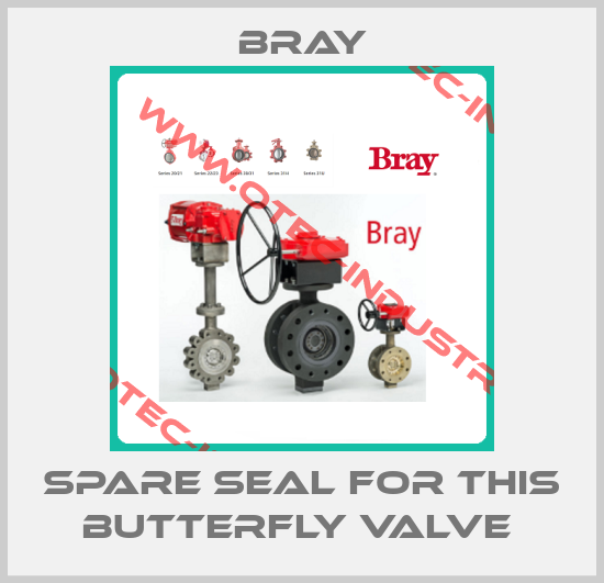 SPARE SEAL FOR THIS BUTTERFLY VALVE -big