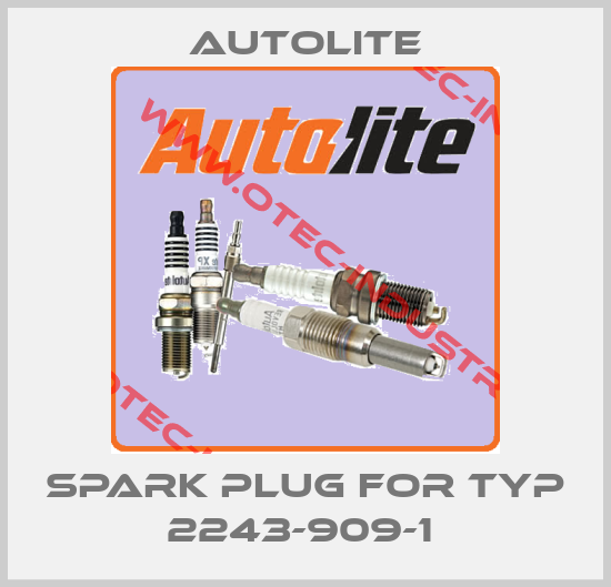 SPARK PLUG FOR TYP 2243-909-1 -big