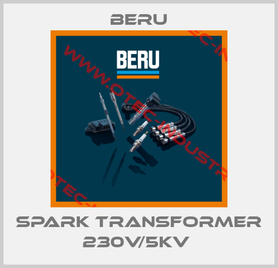 SPARK TRANSFORMER 230V/5KV -big