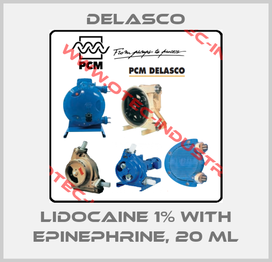 Lidocaine 1% with Epinephrine, 20 ml-big