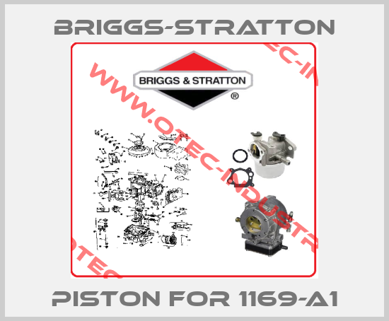 piston for 1169-A1-big