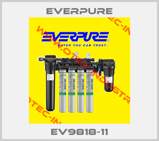 EV9818-11-big