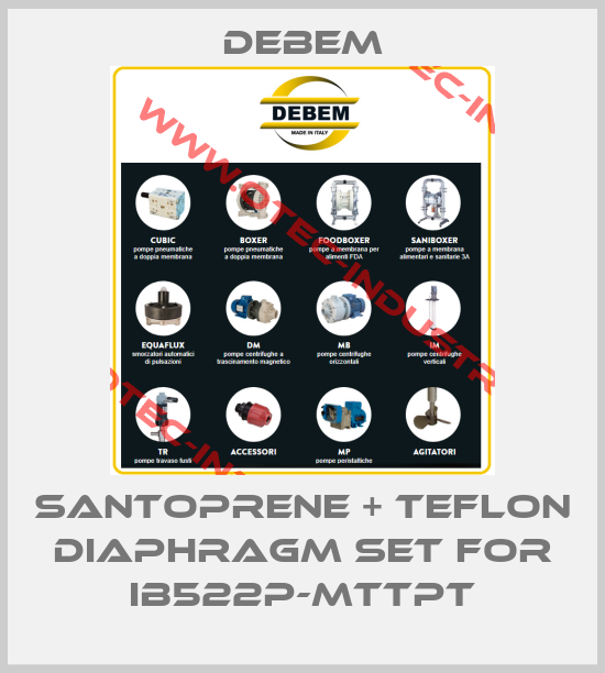 Santoprene + teflon diaphragm set for IB522P-MTTPT-big