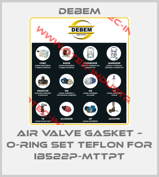 Air valve gasket – o-ring set teflon for IB522P-MTTPT-big