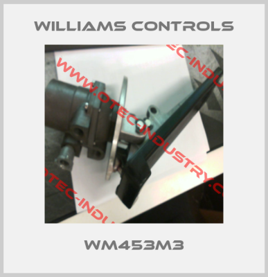 WM453M3-big