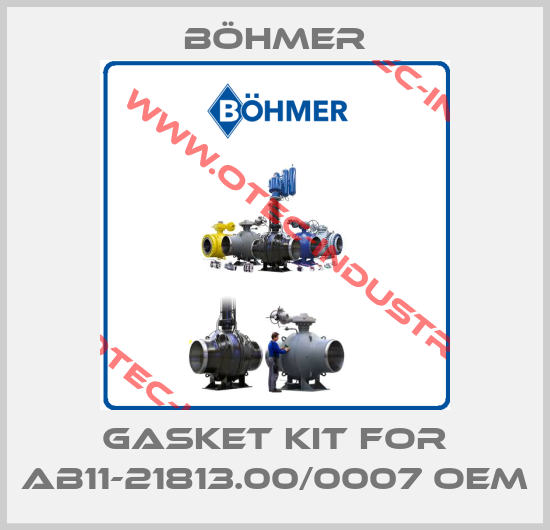 Gasket kit for AB11-21813.00/0007 OEM-big