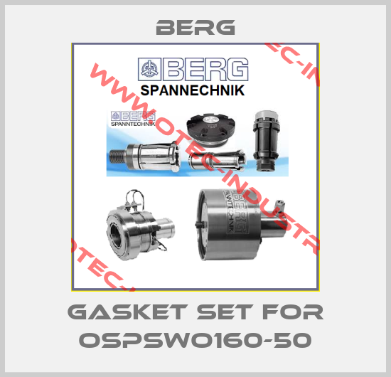 gasket set for OSPSWO160-50-big