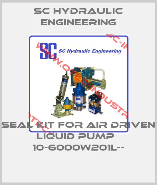 Seal kit for air driven liquid pump   10-6000W201L---big