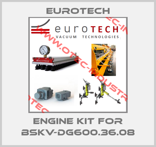 engine kit for BSKV-DG600.36.08-big