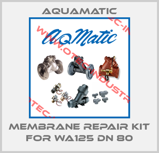membrane repair kit for WA125 DN 80-big