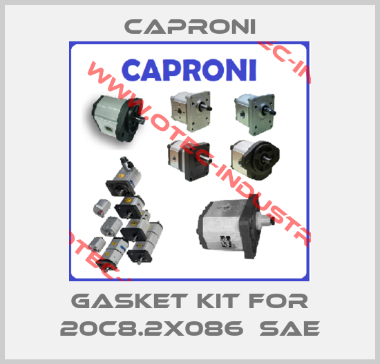 gasket kit for 20C8.2X086  SAE-big
