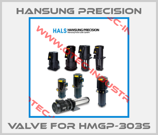 valve for HMGP-303S-big