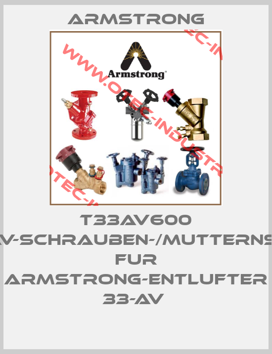T33AV600 33-AV-SCHRAUBEN-/MUTTERNSATZ FUR ARMSTRONG-ENTLUFTER 33-AV -big