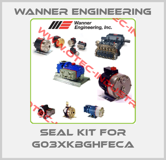 Seal kit for G03XKBGHFECA-big